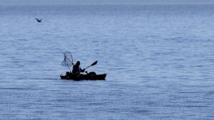 Malibu kayaker bitten twice by shark close to Paradise Cove