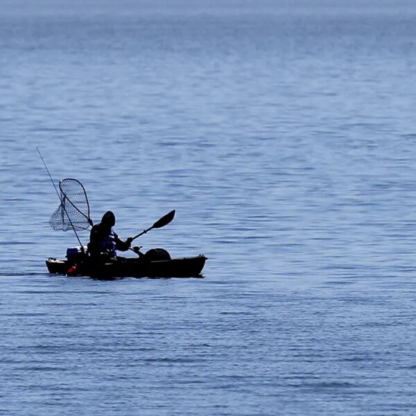Malibu kayaker bitten twice by shark close to Paradise Cove