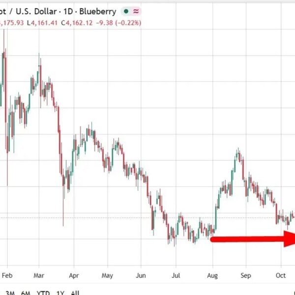BofA sees gold struggling to carry $4,000 as Iran conflict oil shock&hellip;