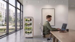 Greenairy is constructing sensible plant towers to wash the air in your workplace