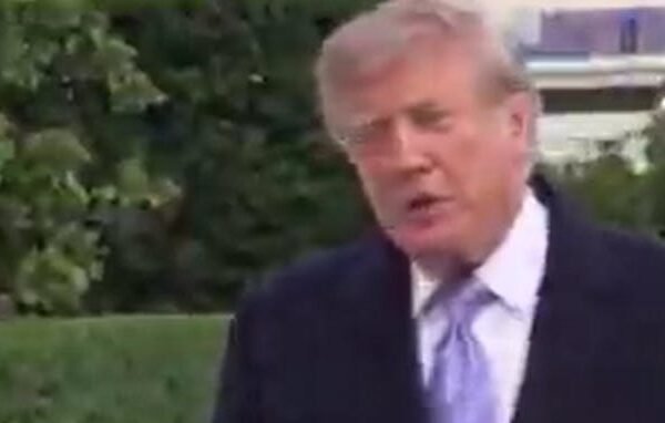 Republicans Say Trump’s Ads Suck And Aren’t Helping Them