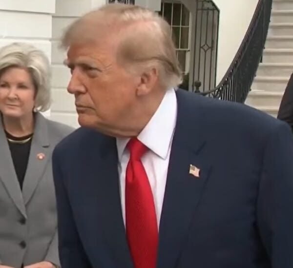 Republicans Are Crumbling And Pointing Fingers At Trump For Midterm Failure