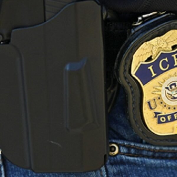 Hackers Dump Records on Over 41,000 DHS Employees, Including Undercover ICE Agents…