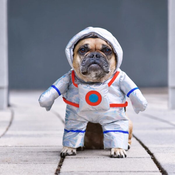 NASA Vs. UFO Is Already Decided