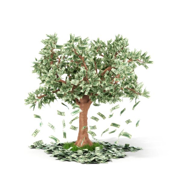 Dollar Tree Stock: Solid Company, Limited Upside (NASDAQ:DLTR)