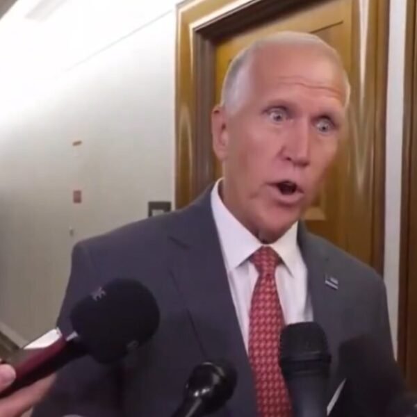 “Told You To F—k Yourself”: Outgoing RINO Thom Tillis Tells Trump Off…