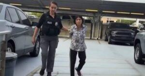 SoCal: Elderly Orange County Woman Arrested For Dumping Puppy on the Street, Then Running Over It with Minivan (VIDEO)