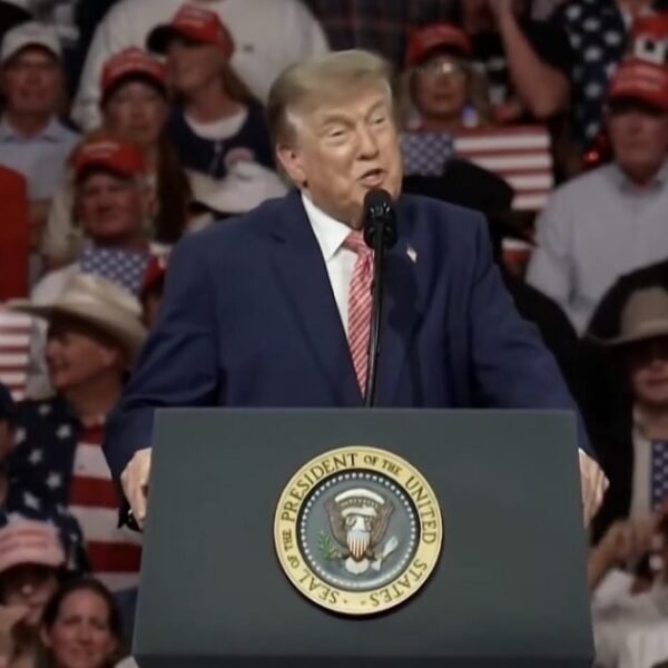 (VIDEO) Trump Trolls Protesters at Rally as Crowd Chants “USA” – “Now&hellip;