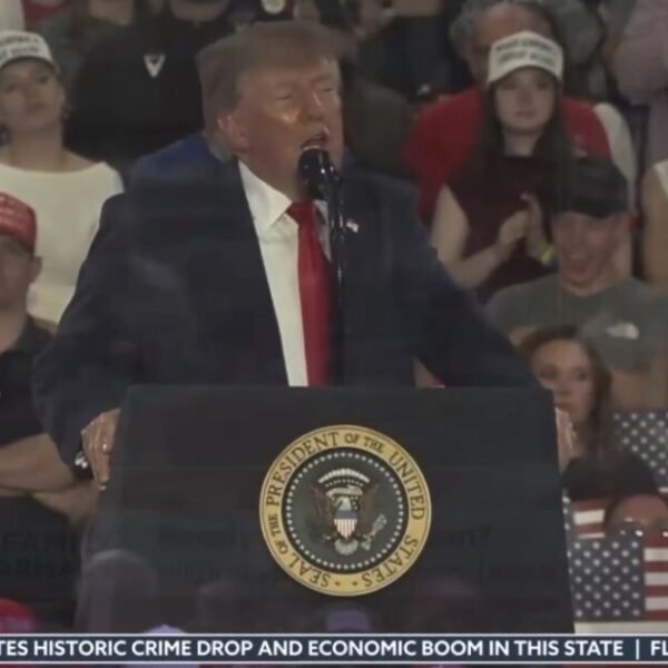 WATCH: Trump Savages Ilhan Nur Said Elmi AKA Ilhan Omar for Using…