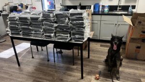 Alhambra police Ok-9 sniffs out roughly 440 kilos of cocaine throughout visitors cease