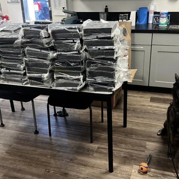 Alhambra police Ok-9 sniffs out roughly 440 kilos of cocaine throughout visitors…
