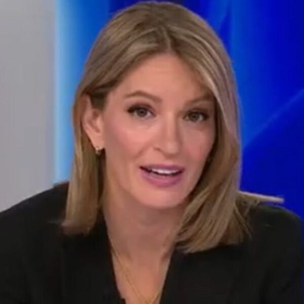 Katy Tur of MSNOW Says She is Having Doubts About Midterm Polling…