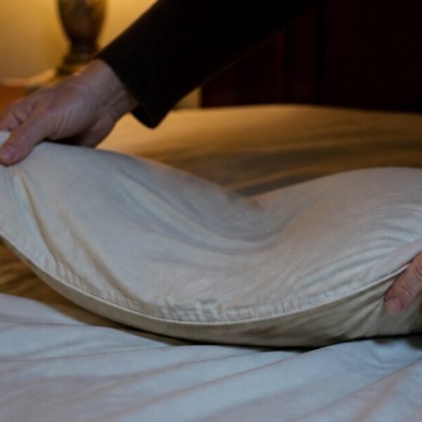 Time To Upgrade Your Old Pillows With Mike’s Made-In-America Queen For $29.98…