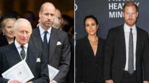 Fox News Entertainment publication: Charles, William ‘livid’ over e-book; Harry, Meghan’s motives unclear