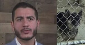 Judicial Watch Goes to Court to Force Detroit to Release Animal Kill Numbers from Abdul El-Sayed’s ‘Slaughterhouse’ Years