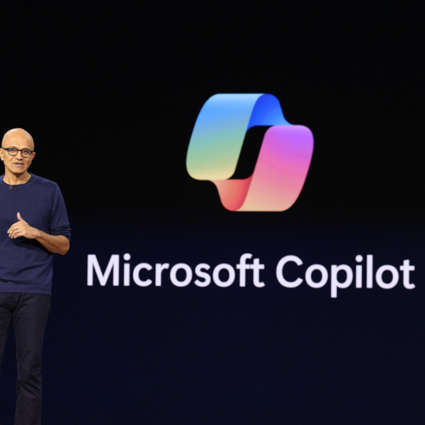 Microsoft’s Satya Nadella says AI fashions want an ‘emergency brake’