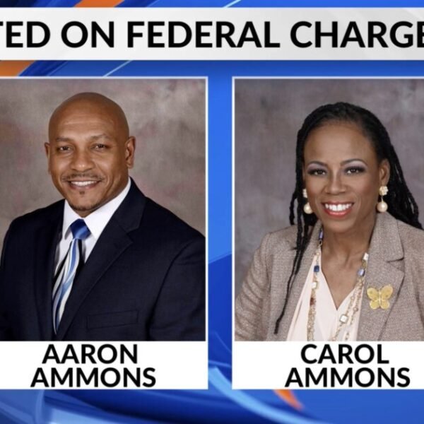 Illinois Democrat Lawmaker and County Clerk Husband Remain in Office and on&hellip;