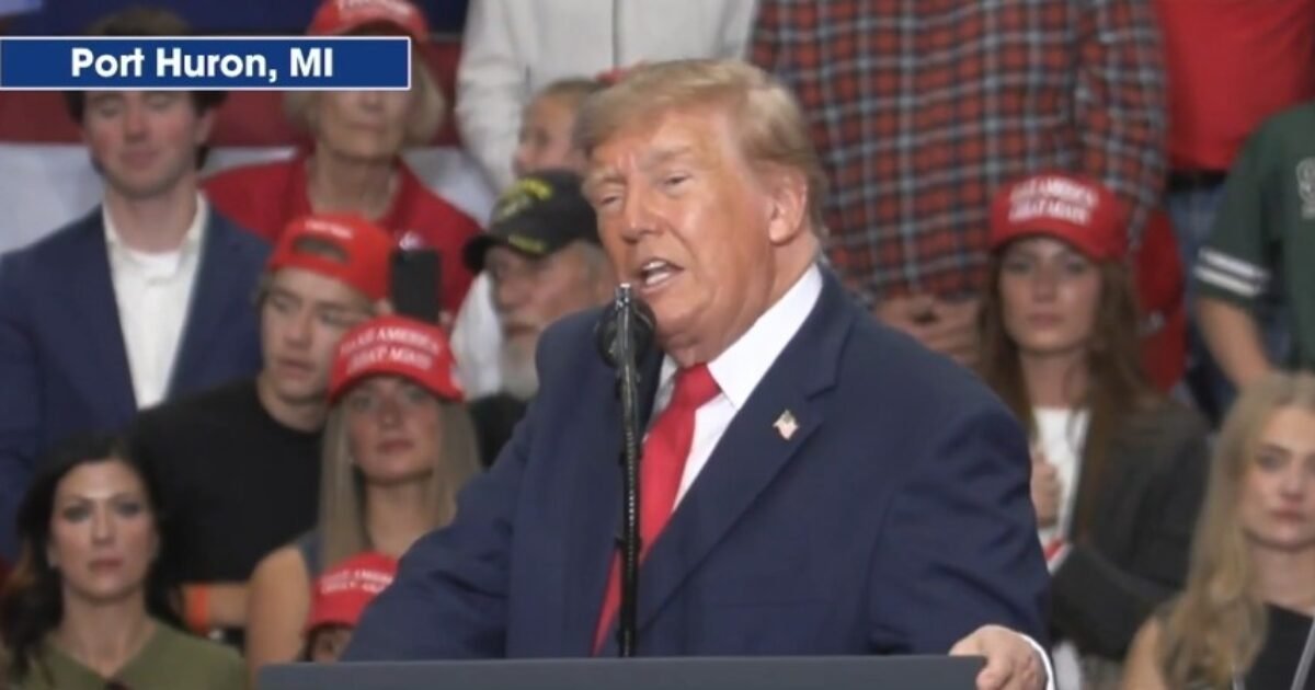 President Trump Calls Out Protestor at Rally in Port Huron, Michigan – “We Have a Paid Protestor. Just Get Him Out of Here Please” (VIDEO)