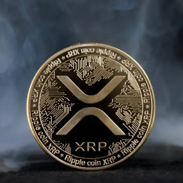 Ripple News: Evernorth Targets This fall for XRP Treasury Management