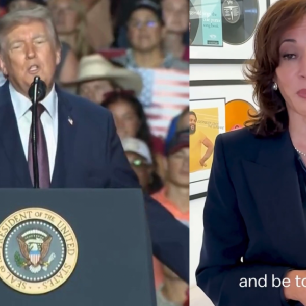 WATCH: Trump Slams Plagiarist Kamala Harris for Stealing “Too Big to Rig”&hellip;